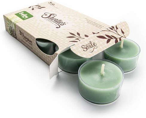 Autumn Splendor Premium Tealight Candles - Highly Scented with Essential Oils - 6 Orange Tea Lights - Beautiful Candlelight - Made in The USA - Christmas & Holiday Collection in Saudi Arabia