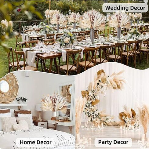 ديكور عشب بامباس المجفف، 10 قطع من عشب بامباس الأبيض، 10 قطع من عشب بامباس البني، 10 قطع من ذيول الأرنب، 10 قطع من عشب القصب، 10 قطع من آذان القمح الخضراء لتزيين المنزل والزفاف (17.5 بوصة) in Kuwait