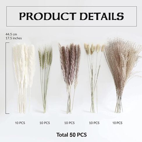 ديكور عشب بامباس المجفف، 10 قطع من عشب بامباس الأبيض، 10 قطع من عشب بامباس البني، 10 قطع من ذيول الأرنب، 10 قطع من عشب القصب، 10 قطع من آذان القمح الخضراء لتزيين المنزل والزفاف (17.5 بوصة) in Kuwait