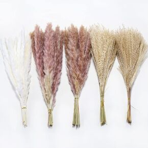 60Pcs Pampas Grass, 17.72'' Dried White Pampas Grass 15 Pcs▕Brown Dried Flower 15 Pcs▕30 Pcs Natural Dried Reed, Natural Home Decor & Ideal for Flower Arrangements, Wedding Plants in Kuwait