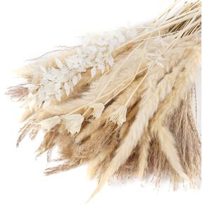VaryFloral 92 قطعة من عشب بامباس ديكور طبيعي مجفف مع ذيل أرنب الأوكالبتوس مزيج باقة بوهو ديكور المنزل رقيق صغير من عشب بامباس لطاولة مركزية لحفلات الزفاف وغرفة المعيشة in Kuwait