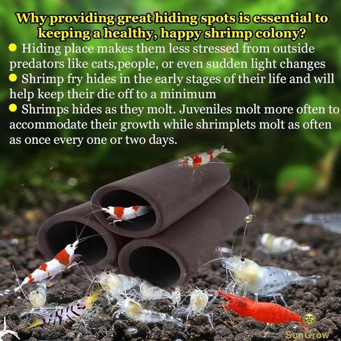 SunGrow Betta & Shrimp Ceramic Shelters, 2.8 x 1.8 x 0.6 Inches, Small Reptile & Lizard Hiding Cave Connected Tubes, Aquarium Decor in Saudi Arabia