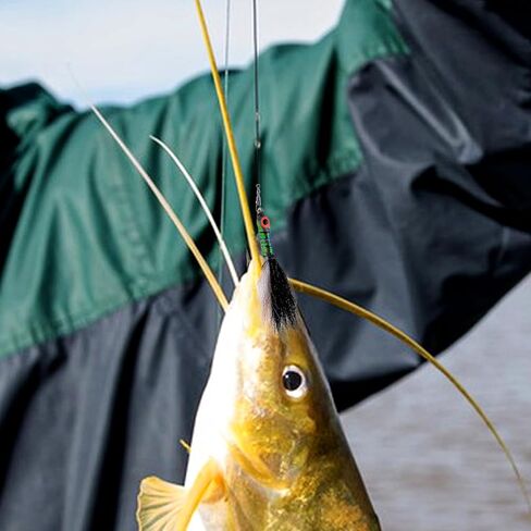 DEILAI 5pcs يطير الصيد الذباب الرطب الجاف الذباب عدة يطير تشكيلة السحر لسمك السلمون المرقط باس الحوريات الصيد اليد تعادل الذباب عدة مع صندوق الطيران للمياه المالحة والمياه العذبة in Kuwait