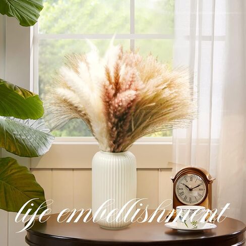 60Pcs Pampas Grass, 17.72'' Dried White Pampas Grass 15 Pcs▕Brown Dried Flower 15 Pcs▕30 Pcs Natural Dried Reed, Natural Home Decor & Ideal for Flower Arrangements, Wedding Plants in Kuwait