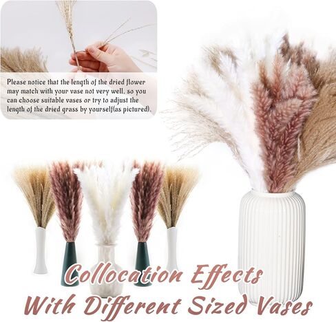 60Pcs Pampas Grass, 17.72'' Dried White Pampas Grass 15 Pcs▕Brown Dried Flower 15 Pcs▕30 Pcs Natural Dried Reed, Natural Home Decor & Ideal for Flower Arrangements, Wedding Plants in Kuwait