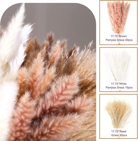 60Pcs Pampas Grass, 17.72'' Dried White Pampas Grass 15 Pcs▕Brown Dried Flower 15 Pcs▕30 Pcs Natural Dried Reed, Natural Home Decor & Ideal for Flower Arrangements, Wedding Plants in Kuwait
