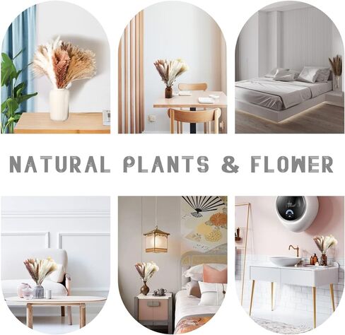 60Pcs Pampas Grass, 17.72'' Dried White Pampas Grass 15 Pcs▕Brown Dried Flower 15 Pcs▕30 Pcs Natural Dried Reed, Natural Home Decor & Ideal for Flower Arrangements, Wedding Plants in Kuwait