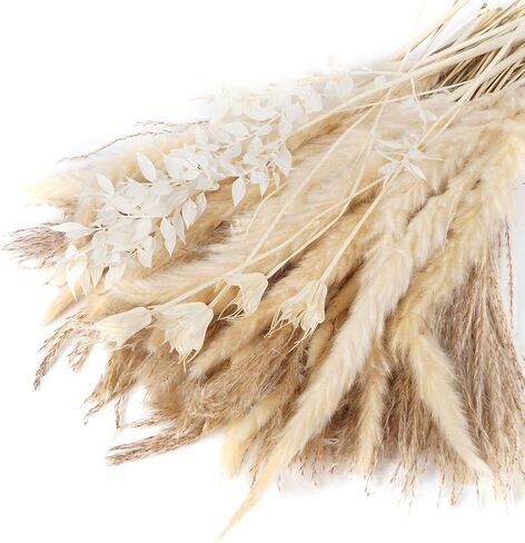 VaryFloral 92 قطعة من عشب بامباس ديكور طبيعي مجفف مع ذيل أرنب الأوكالبتوس مزيج باقة بوهو ديكور المنزل رقيق صغير من عشب بامباس لطاولة مركزية لحفلات الزفاف وغرفة المعيشة in Kuwait
