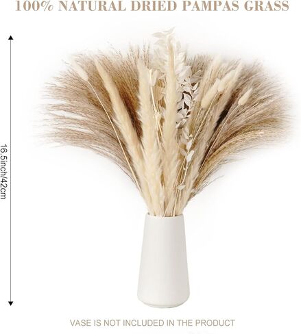VaryFloral 92 قطعة من عشب بامباس ديكور طبيعي مجفف مع ذيل أرنب الأوكالبتوس مزيج باقة بوهو ديكور المنزل رقيق صغير من عشب بامباس لطاولة مركزية لحفلات الزفاف وغرفة المعيشة in Kuwait