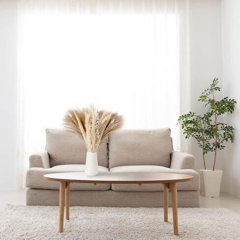 VaryFloral 92 قطعة من عشب بامباس ديكور طبيعي مجفف مع ذيل أرنب الأوكالبتوس مزيج باقة بوهو ديكور المنزل رقيق صغير من عشب بامباس لطاولة مركزية لحفلات الزفاف وغرفة المعيشة in Kuwait