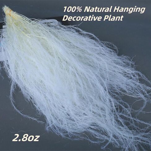 30"-35" Tall Dried Bleached Hanging Amaranthus Flowers for Decor, Bleached Wisteria White Vine Hanging Plants Flowers for Wedding Boho Home Hotel Wall Decoration, Floral Arrangement in Kuwait