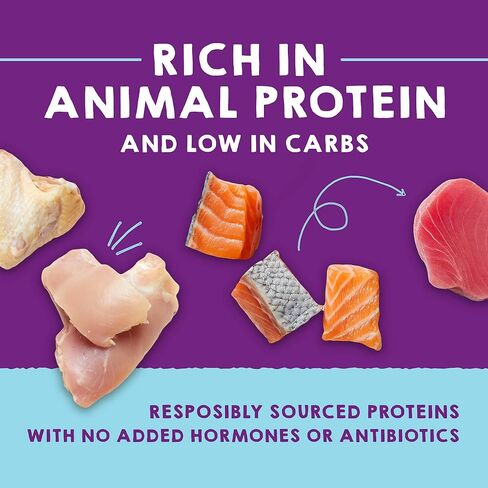 Stella & Chewy’s Carnivore Cravings Purrfect Pate Cans – Grain Free, Protein Rich Wet Cat Food – Chicken & Chicken Liver Recipe – (2.8 Ounce Cans, Case of 12) in Saudi Arabia