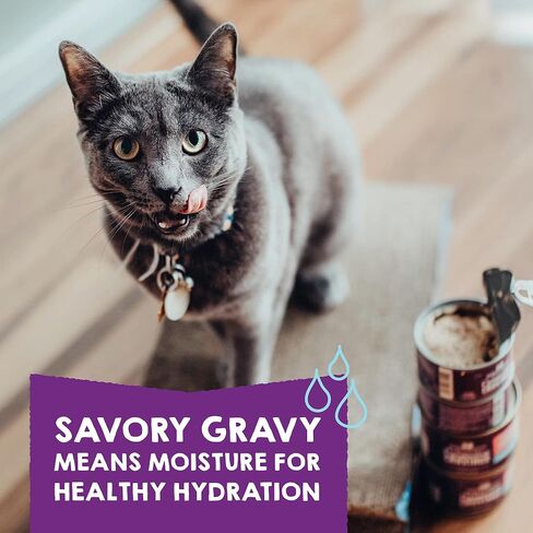 Stella & Chewy’s Carnivore Cravings Purrfect Pate Cans – Grain Free, Protein Rich Wet Cat Food – Chicken & Chicken Liver Recipe – (2.8 Ounce Cans, Case of 12) in Saudi Arabia