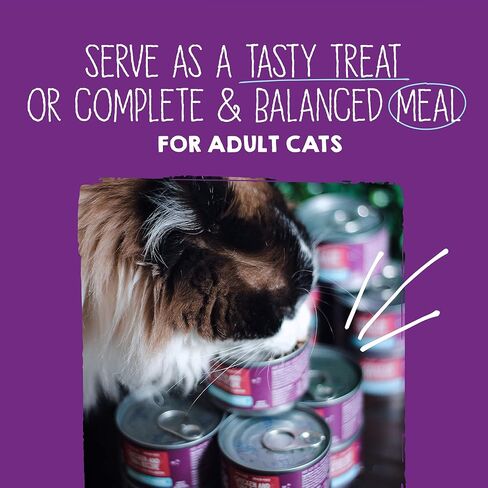 Stella & Chewy’s Carnivore Cravings Purrfect Pate Cans – Grain Free, Protein Rich Wet Cat Food – Chicken & Chicken Liver Recipe – (2.8 Ounce Cans, Case of 12) in Saudi Arabia