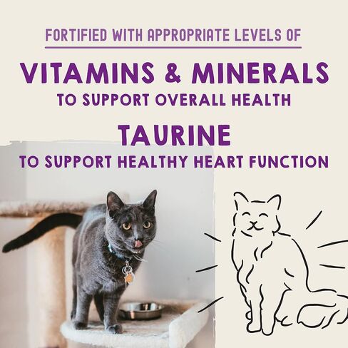 Stella & Chewy’s Carnivore Cravings Purrfect Pate Cans – Grain Free, Protein Rich Wet Cat Food – Chicken & Chicken Liver Recipe – (2.8 Ounce Cans, Case of 12) in Saudi Arabia