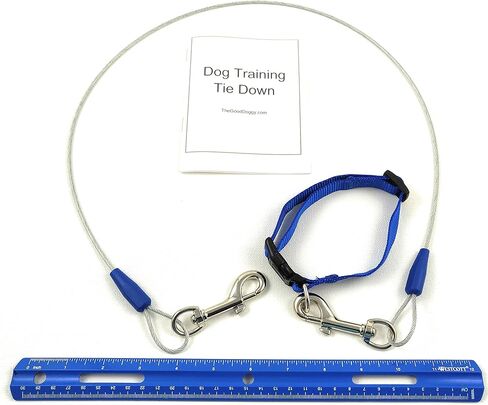Dog Training Tie Out Cable, 3 Ft Begging Jumping Destructive Chewing Housetraining Counter Surfing Teething Puppy Potty Training Tether Chew Proof Cable (Tie-Down with Eye Screw) in Kuwait