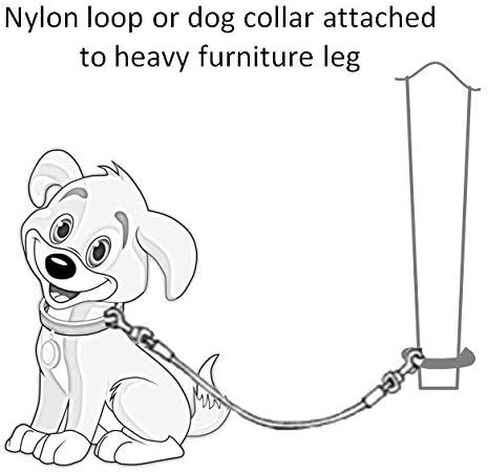 Dog Training Tie Out Cable, 3 Ft Begging Jumping Destructive Chewing Housetraining Counter Surfing Teething Puppy Potty Training Tether Chew Proof Cable (Tie-Down with Eye Screw) in Kuwait