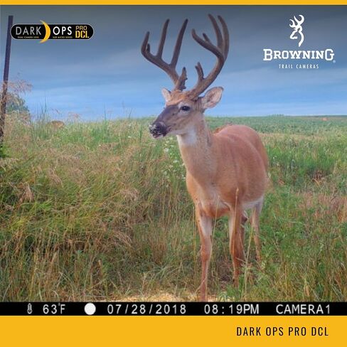 Browning Trail Cameras Dark Ops Pro DCL - BTC-6DCL - كاميرا الألعاب، كاميرا الحياة البرية التي تنشط بالحركة in Saudi Arabia