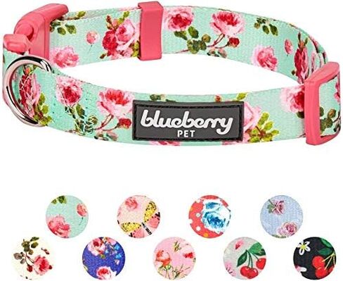 Blueberry Pet Dog Collar - Turquoise Floral Rose Print, Adjustable for Small Dogs, Neck 12"-16", Pink Puppy Collar with Eco-Friendly Buckles, Ideal Small Dog Collars for Female Dogs in Saudi Arabia