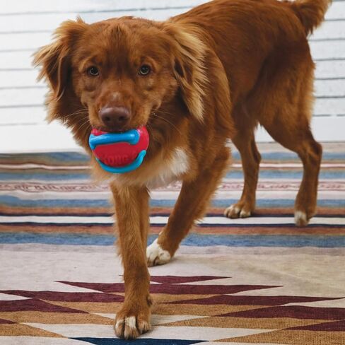 KONG Jaxx Brights Tug w/Ball Assorted Md in Saudi Arabia