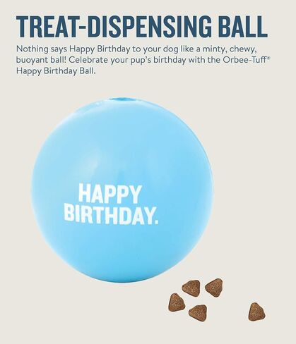 Planet Dog Orbee-Tuff Happy Birthday Ball Blue Treat-Dispensing Dog Toy in Saudi Arabia