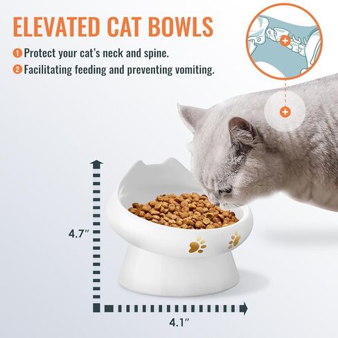 وعاء طعام للقطط مضاد للقيء، أوعية مرتفعة للقطط، وعاء سيراميك مرتفع للطعام والماء، خالٍ من الرصاص والكادميوم، يمنع الانسكابات ويعزز الأكل الصحي، آمن للاستخدام في الميكروويف وغسالة الأطباق (قطعتان) in Kuwait