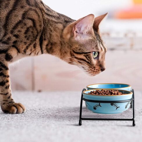 Y YHY Cat Food Dishes, Raised Ceramic Bowls, 12 Ounce Capacity, Reduce Neck Burden, Non-Slip Stand, Dishwasher Safe in Kuwait