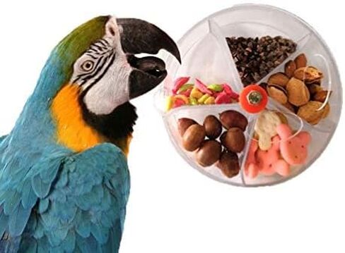 Bird Creative Foraging Toy Seed Food Ball Rotate Wheel for Small and Medium Parrot Parakeet Cockatiel Conure African Grey Cockatoo Macaw Amazon Budgie Lovebird Canary Cage Feeder in Kuwait