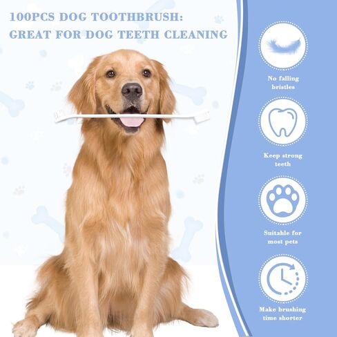 Bawuie 100 قطعة فرشاة أسنان للكلاب برأسين، مجموعة فرشاة أسنان بمقبض طويل للحيوانات الأليفة، شعيرات ناعمة، فرش أسنان للحيوانات الأليفة للكلاب الصغيرة والكبيرة، القطط، تنظيف أسنان الجراء، العناية بالفم والأسنان (أبيض) in Kuwait