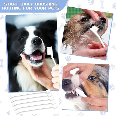 Bawuie 100 قطعة فرشاة أسنان للكلاب برأسين، مجموعة فرشاة أسنان بمقبض طويل للحيوانات الأليفة، شعيرات ناعمة، فرش أسنان للحيوانات الأليفة للكلاب الصغيرة والكبيرة، القطط، تنظيف أسنان الجراء، العناية بالفم والأسنان (أبيض) in Kuwait