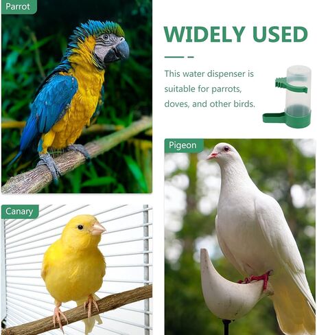 Alipis Bird Waterer الطيور موزع المياه شنقا الطيور قفص كوب التلقائي الطيور المياه المغذية الببغاء وعاء الطعام للببغاء الكناري العصافير الببغاء، 10 قطع الطيور المياه المغذية in Kuwait