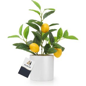 AceList Small Artificial Orange Tree for Oranges Decor, 14.17 Inch Realistic Fake Tree with White Pot, Enhance Your Home Décor in The Kitchen, Living Room, or on The Table