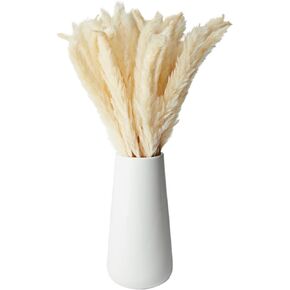 Natural Dried White Pampas Grass with Ceramic Vase for Wedding Reception, Table Centerpiece, Floral Arrangement, Rustic-Style Farmhouse Home Decor, 40 Bundles (16 in)