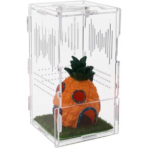 NENHEIONI القفز العنكبوت الموئل، القفز العنكبوت الضميمة، تررم الاكريليك لشجرة الرتيلاء حبال السحالي ثعبان أبو بريص القفز العنكبوت الحلزون Isopods (4 "X4 X8") in Kuwait