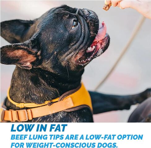 123 Treats Beef Lung Dog Tips Treat - All Natural Premium Jerky Chews for Your Dog (Beef Treats - Made in USA) 8 oz in Saudi Arabia