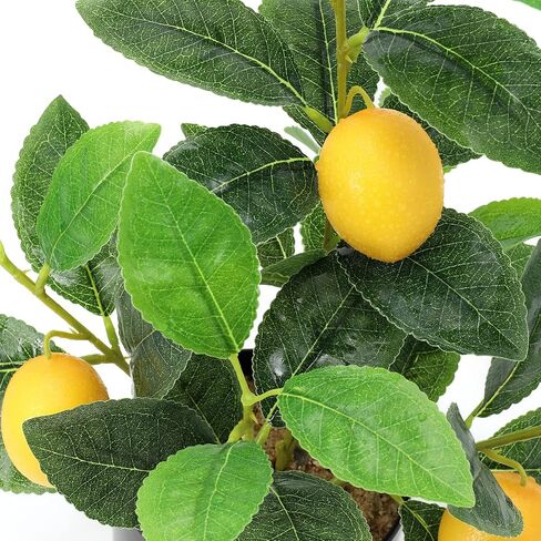 AceList Small Artificial Orange Tree for Oranges Decor, 14.17 Inch Realistic Fake Tree with White Pot, Enhance Your Home Décor in The Kitchen, Living Room, or on The Table in Saudi Arabia