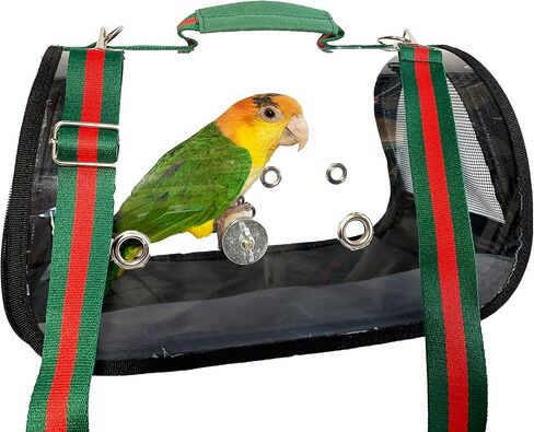 حامل طيور من بيردز لوف أخضر شفاف، مقاس صغير in Kuwait