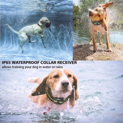 Patroaint Dog Training Collar with Three Training Modes, Waterproof Training Collar, Long Range up to 2600Ft in Saudi Arabia