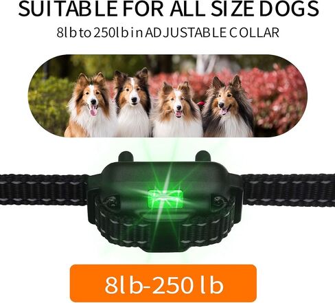 Patroaint Dog Training Collar with Three Training Modes, Waterproof Training Collar, Long Range up to 2600Ft in Saudi Arabia