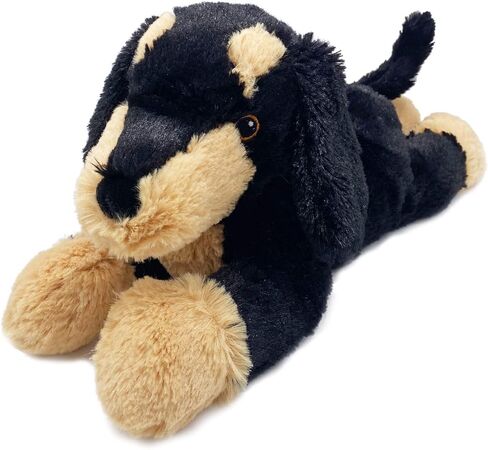 انتيليكس CP-DAS-1 داشوند وورميز، طول 13 انش in Kuwait