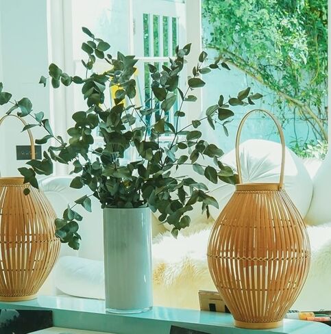 Gifugi المجففة المحفوظة الأوكالبتوس أوراق كبيرة ينبع وباقة زهور اللافندر، حزمة زرقاء طازجة حقيقية للاستحمام، فروع خضراء للمزهرية، الأزهار، الزفاف، زينة عيد الميلاد in Kuwait