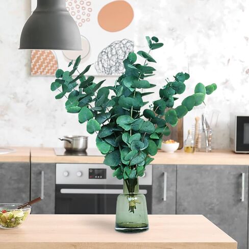 Gifugi المجففة المحفوظة الأوكالبتوس أوراق كبيرة ينبع وباقة زهور اللافندر، حزمة زرقاء طازجة حقيقية للاستحمام، فروع خضراء للمزهرية، الأزهار، الزفاف، زينة عيد الميلاد in Kuwait