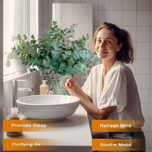 Gifugi المجففة المحفوظة الأوكالبتوس أوراق كبيرة ينبع وباقة زهور اللافندر، حزمة زرقاء طازجة حقيقية للاستحمام، فروع خضراء للمزهرية، الأزهار، الزفاف، زينة عيد الميلاد in Kuwait