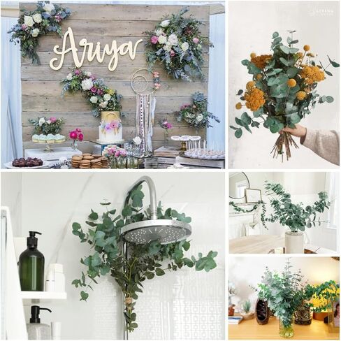 Gifugi المجففة المحفوظة الأوكالبتوس أوراق كبيرة ينبع وباقة زهور اللافندر، حزمة زرقاء طازجة حقيقية للاستحمام، فروع خضراء للمزهرية، الأزهار، الزفاف، زينة عيد الميلاد in Kuwait