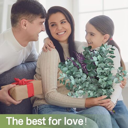 Gifugi المجففة المحفوظة الأوكالبتوس أوراق كبيرة ينبع وباقة زهور اللافندر، حزمة زرقاء طازجة حقيقية للاستحمام، فروع خضراء للمزهرية، الأزهار، الزفاف، زينة عيد الميلاد in Kuwait