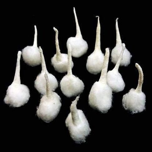 RATNA نقي مصنوع يدويًا من القطن Puja Wicks/Round Cotton Wicks/Diya Batti for Puja aarti حزمة من 200 قطعة in Saudi Arabia