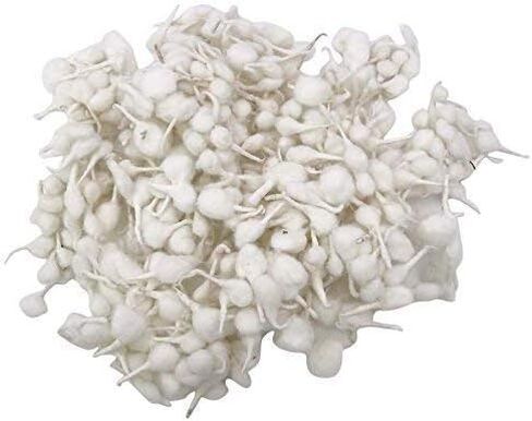RATNA نقي مصنوع يدويًا من القطن Puja Wicks/Round Cotton Wicks/Diya Batti for Puja aarti حزمة من 200 قطعة in Saudi Arabia