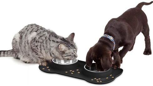 Pet Deluxe Dog Bowls Stainless Steel Dog Food Water Bowl Set with Stand, Feeding Bowls No Spill Non-Skid Silicone Mat, Dog Dishes for Small Medium Large Size Dog Pet Cat Puppy Food Bowl, Black, 4 Cup in Kuwait