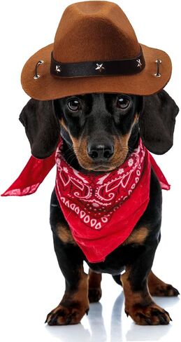 Yewong Pet Cowboy Accessories زي الكلب القط الحيوانات الأليفة حجم قبعة رعاة البقر ووشاح باندانا اكسسوارات رعاة البقر الغربية لمهرجان حفلة جرو هريرة وارتداء يومي مجموعة من 2 (أسود) in Kuwait