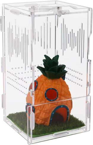 NENHEIONI القفز العنكبوت الموئل، القفز العنكبوت الضميمة، تررم الاكريليك لشجرة الرتيلاء حبال السحالي ثعبان أبو بريص القفز العنكبوت الحلزون Isopods (4 "X4 X8") in Kuwait